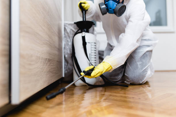 Best Termite Control Services  in St James, NY