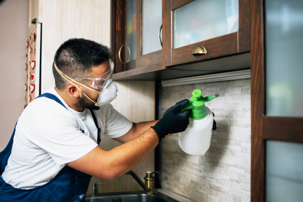 Best Mosquito Control Services  in St James, NY