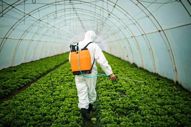 Best Best Pest Control Companies  in St James, NY