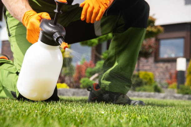 Best Best Pest Control Companies  in St James, NY