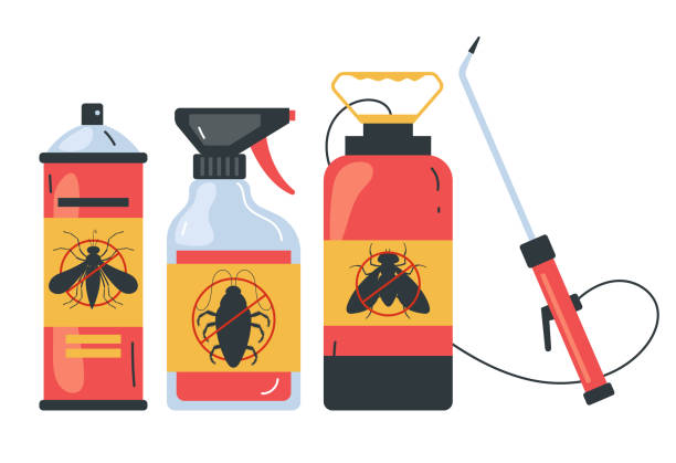 Wasp Removal Services in St James, NY
