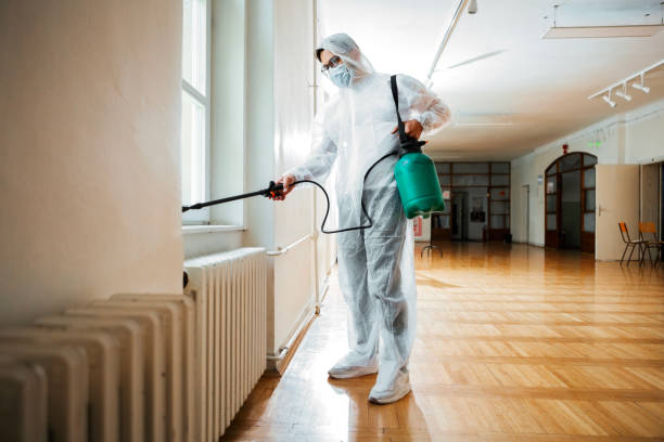 Best Flea Control Services  in St James, NY