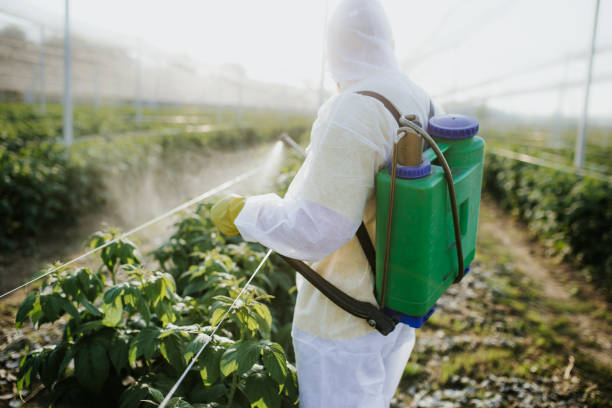 Flea Control Services in St James, NY